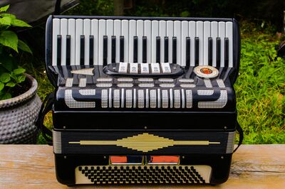 Accordeon volwassenen