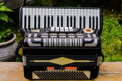 Accordeon volwassenen