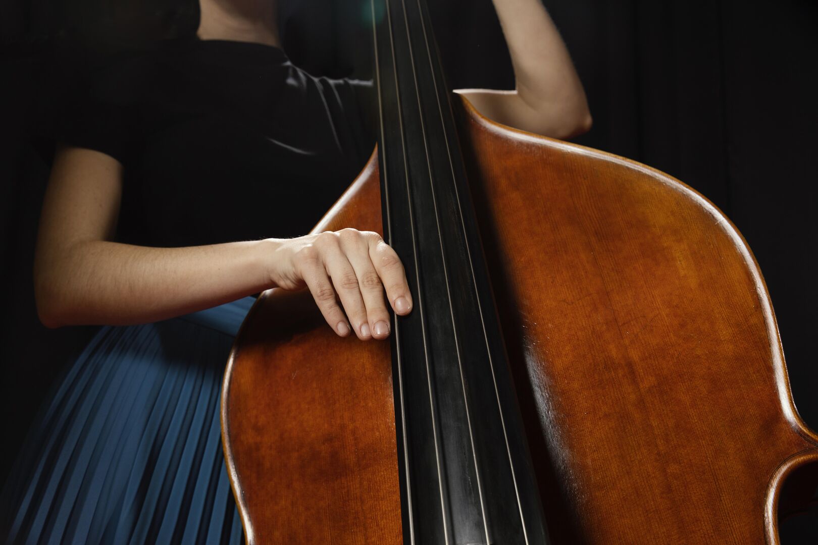Basgitaar contrabas