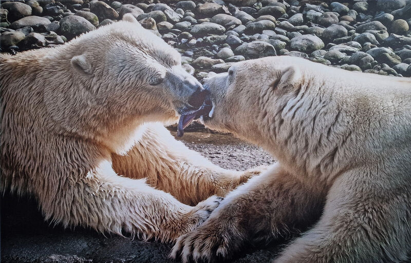 Expositie Het Hoge Noorden