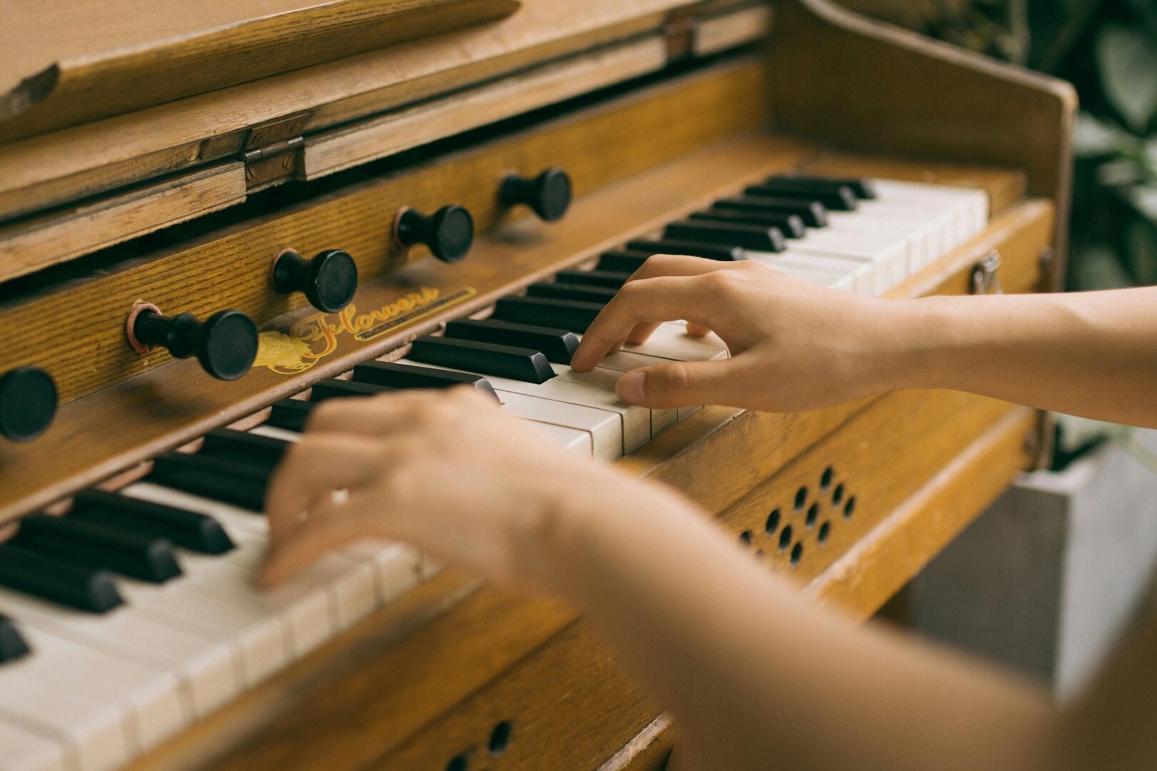 Orgel