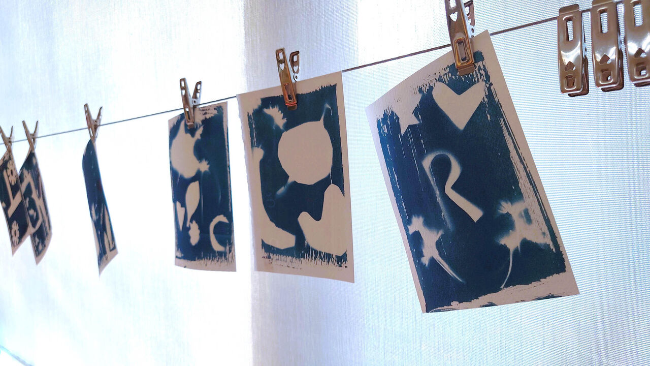 Workshop cyanotype